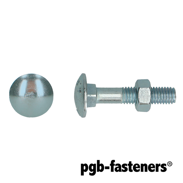 HOUTBOUT 4.8 DIN 603/555 M 10X25 ZN